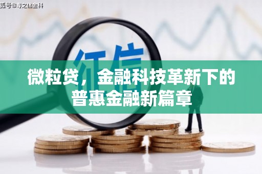 太和微粒贷，金融科技革新下的普惠金融新篇章