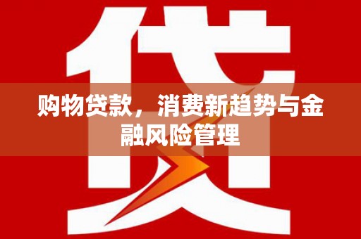 太和购物贷款，消费新趋势与金融风险管理