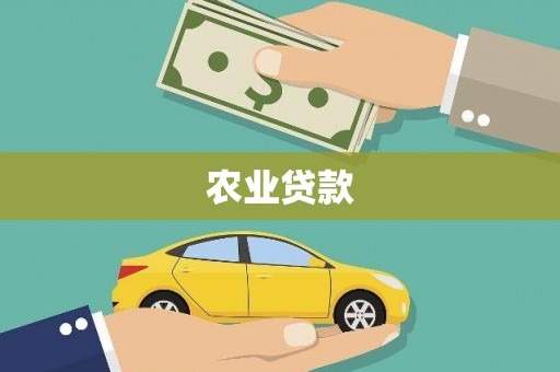 太和农业贷款