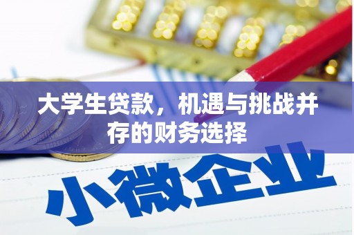 太和大学生贷款，机遇与挑战并存的财务选择