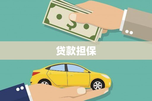 太和贷款担保