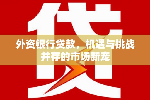 太和外资银行贷款，机遇与挑战并存的市场新宠