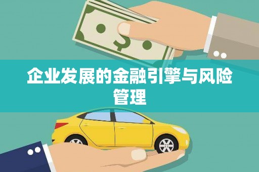 太和企业发展的金融引擎与风险管理
