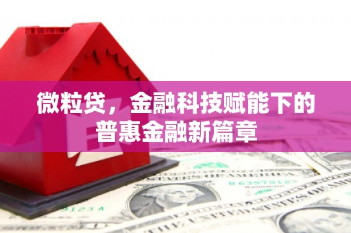 太和微粒贷，金融科技赋能下的普惠金融新篇章