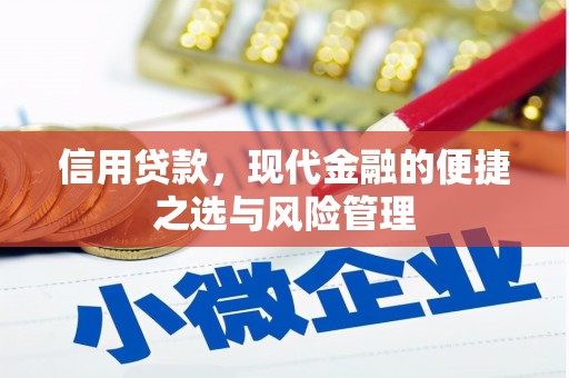 太和信用贷款，现代金融的便捷之选与风险管理