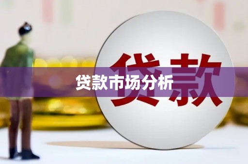 太和贷款市场分析