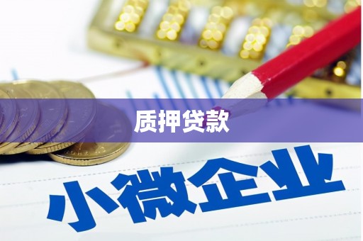 太和质押贷款