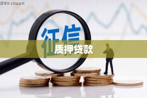 太和质押贷款