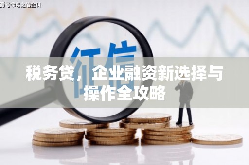 太和税务贷，企业融资新选择与操作全攻略