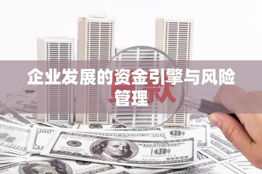 太和企业发展的资金引擎与风险管理