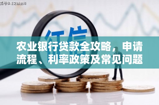 太和农业银行贷款全攻略，申请流程、利率政策及常见问题解析