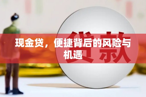 太和现金贷，便捷背后的风险与机遇