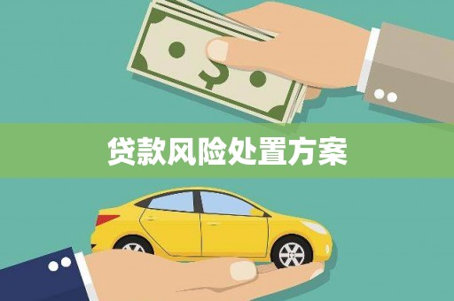 太和贷款风险处置方案