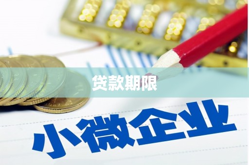 太和贷款期限