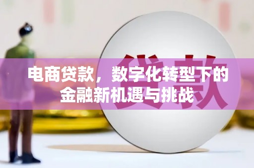 太和电商贷款，数字化转型下的金融新机遇与挑战
