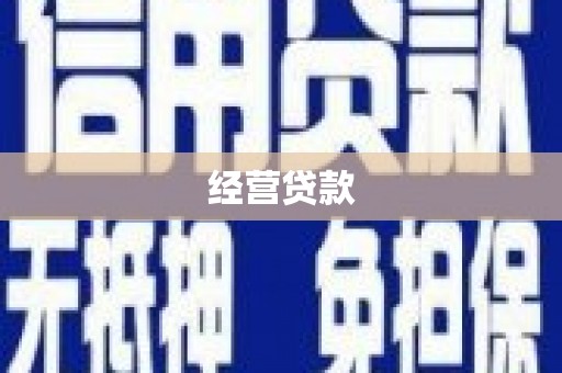 太和经营贷款