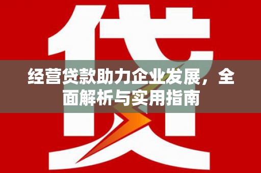 太和经营贷款助力企业发展，全面解析与实用指南