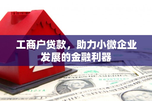 太和工商户贷款，助力小微企业发展的金融利器