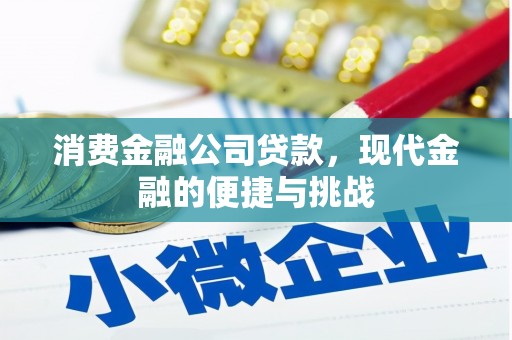太和消费金融公司贷款，现代金融的便捷与挑战