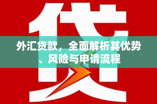 太和外汇贷款，全面解析其优势、风险与申请流程