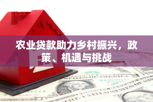 太和农业贷款助力乡村振兴，政策、机遇与挑战