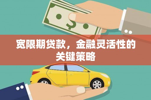 太和宽限期贷款，金融灵活性的关键策略