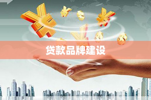 太和贷款品牌建设