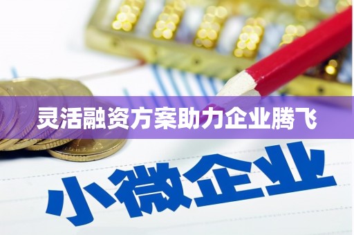 太和灵活融资方案助力企业腾飞