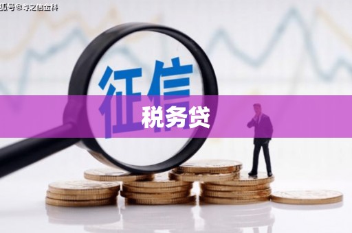 太和税务贷