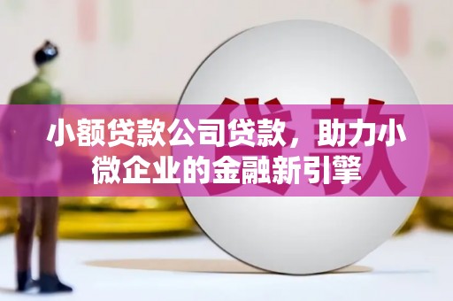 太和小额贷款公司贷款，助力小微企业的金融新引擎