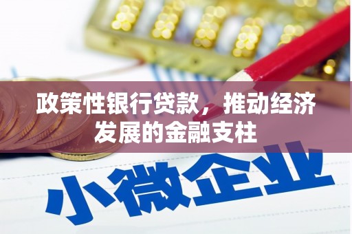 太和政策性银行贷款，推动经济发展的金融支柱