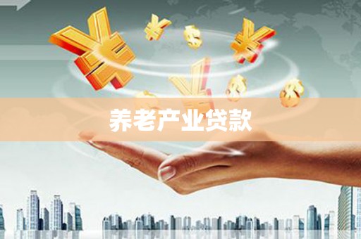 太和养老产业贷款