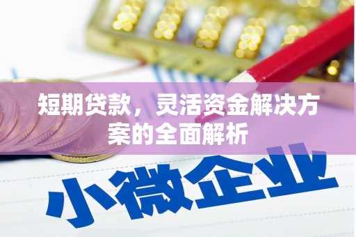 太和短期贷款，灵活资金解决方案的全面解析