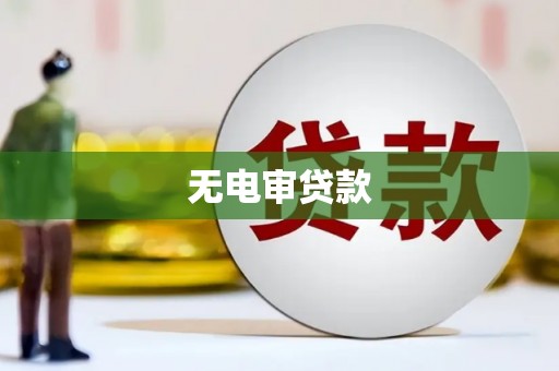 太和无电审贷款
