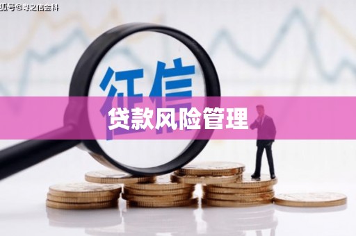 太和贷款风险管理