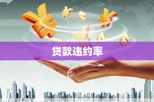 太和贷款违约率