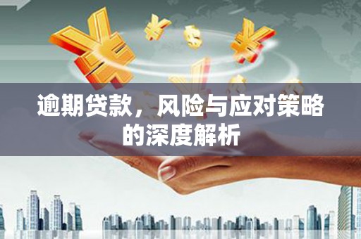 太和逾期贷款，风险与应对策略的深度解析