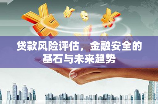 太和贷款风险评估，金融安全的基石与未来趋势