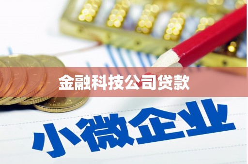 太和金融科技公司贷款