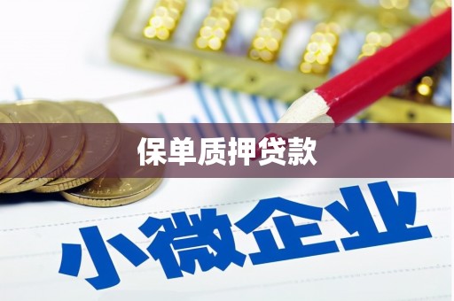 太和保单质押贷款