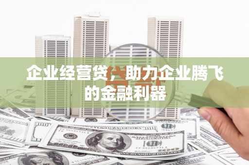 太和企业经营贷，助力企业腾飞的金融利器