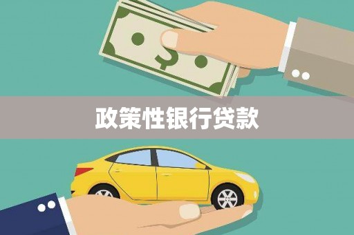 太和政策性银行贷款