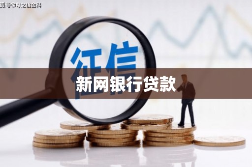 太和新网银行贷款