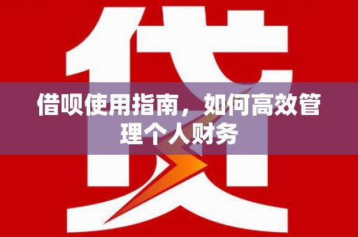 太和借呗使用指南，如何高效管理个人财务