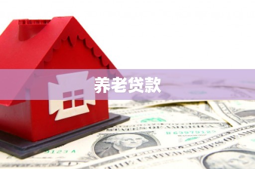 太和养老贷款