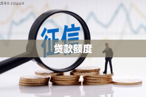 太和贷款额度