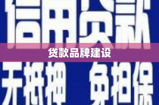 太和贷款品牌建设