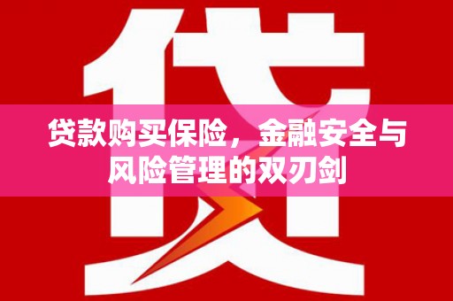 太和贷款购买保险，金融安全与风险管理的双刃剑