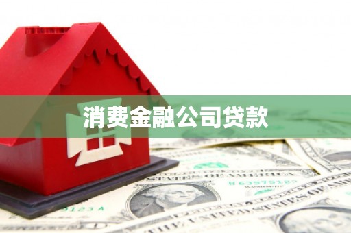 太和消费金融公司贷款