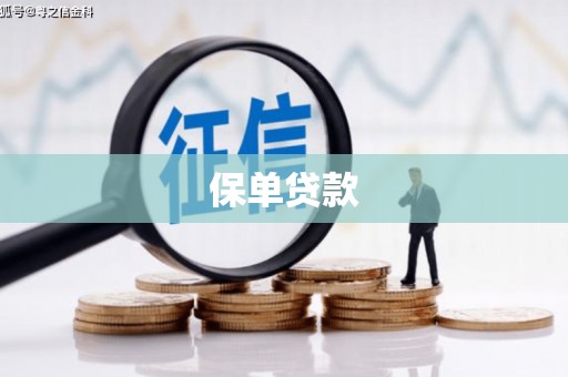 太和保单贷款
